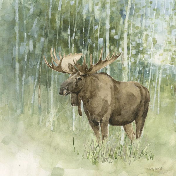 Moose: Nature's Call V by Lisa Audit
