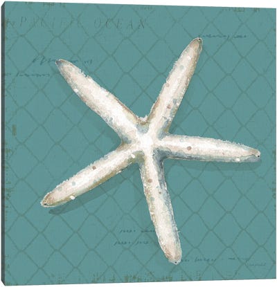 Ocean View II on Teal Canvas Art Print - Starfish Art