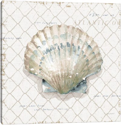 Ocean View III Canvas Art Print - Sea Shell Art