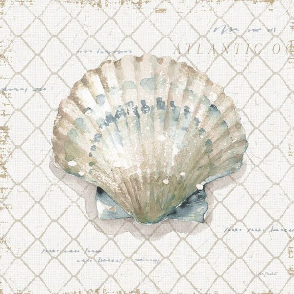Sea Shells: Ocean View III by Lisa Audit
