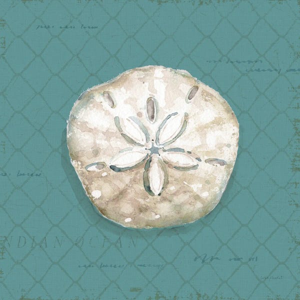 Sand Dollars: Ocean View V on Teal by Lisa Audit