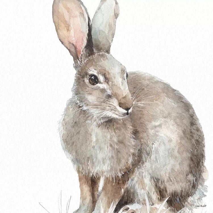 Forest Friends II by Lisa Audit wall art