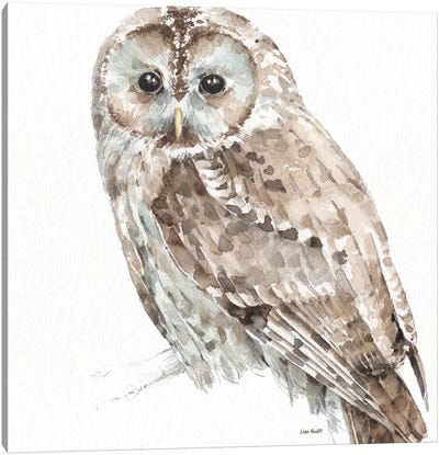 Forest Friends III Canvas Art Print - Owl Art