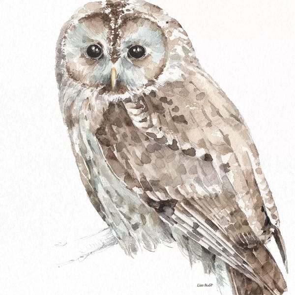 Nursery: Forest Friends III by Lisa Audit