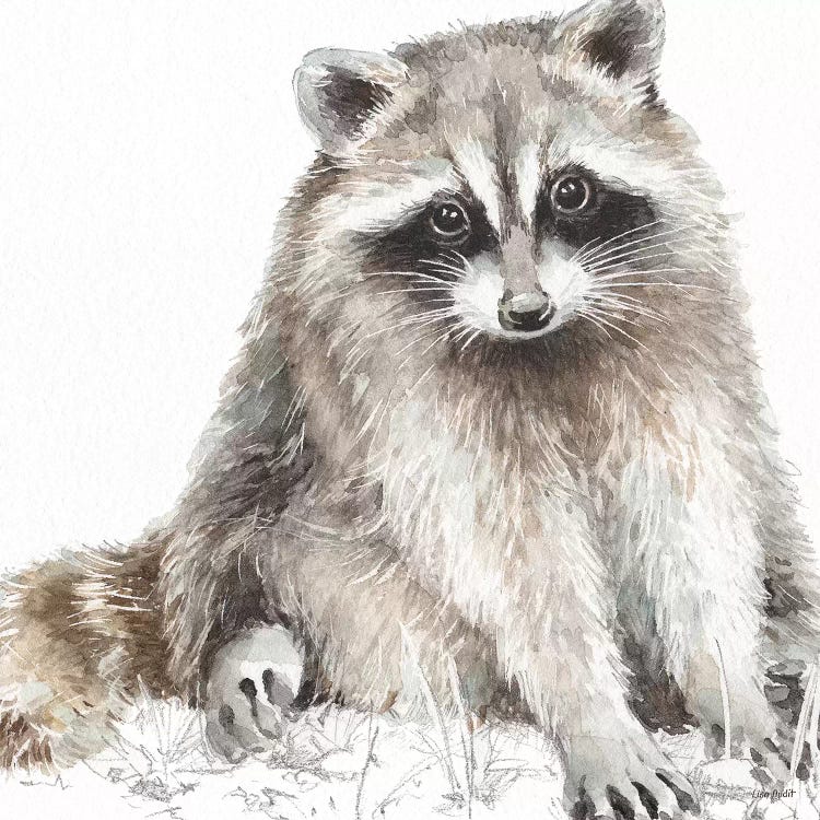 Forest Friends IV by Lisa Audit wall art