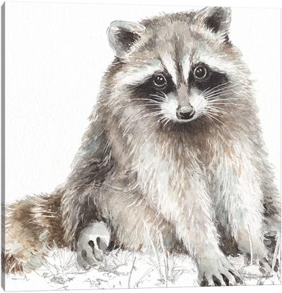 Forest Friends IV Canvas Art Print - Raccoon Art
