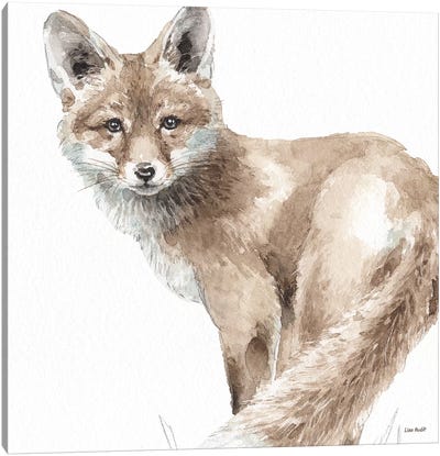 Forest Friends V Canvas Art Print - Fox Art