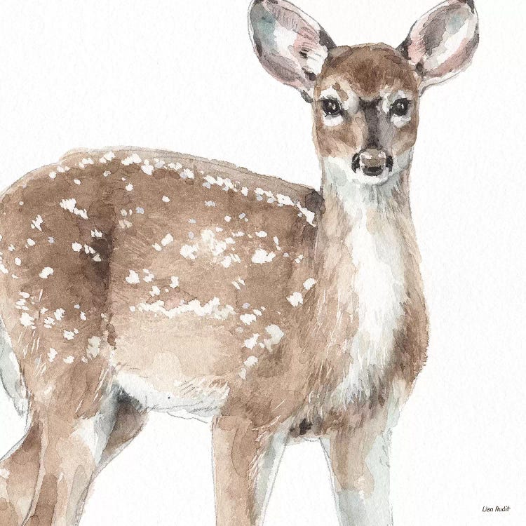 Forest Friends VI by Lisa Audit wall art