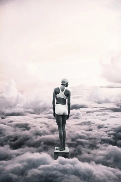 Ready To Dive by Underdott Art canvas print