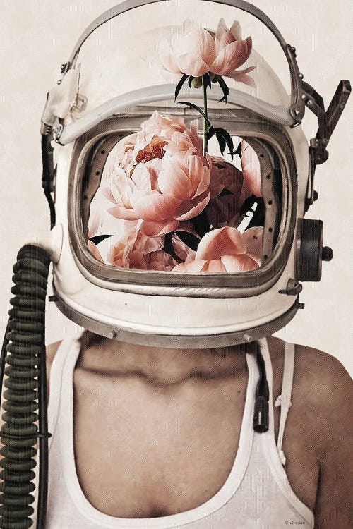 Space Bloom
