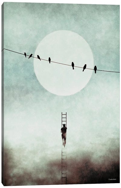 Stairway To Freedom Canvas Art Print - Birds On A Wire
