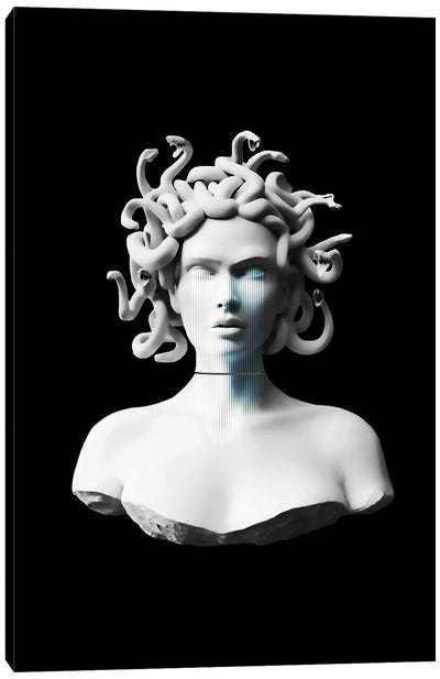 Decontructed Medusa Canvas Art Print - Black & White Graphics & Illustrations