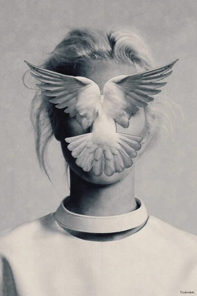 Doves & Pigeons: Desicions by Underdott Art