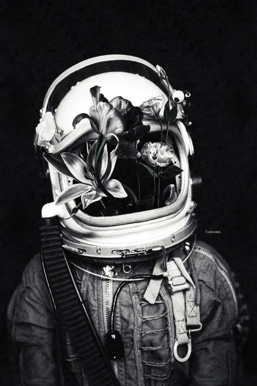 Astronauts And Flowers