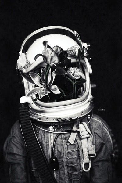 Underdott Art: Astronauts And Flowers by Underdott Art