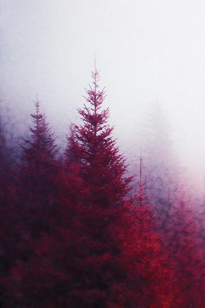 Autumn Colors