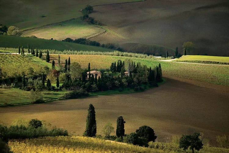 Farmland Around Montepulciano, Tuscany, Italy