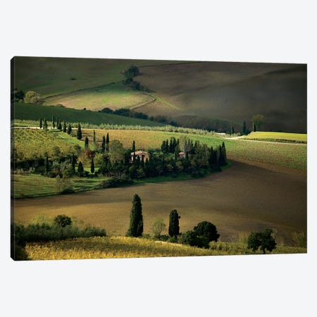Farmland Around Montepulciano, Tuscany, Italy Canvas Print #UFF2} by David Barnes Canvas Wall Art