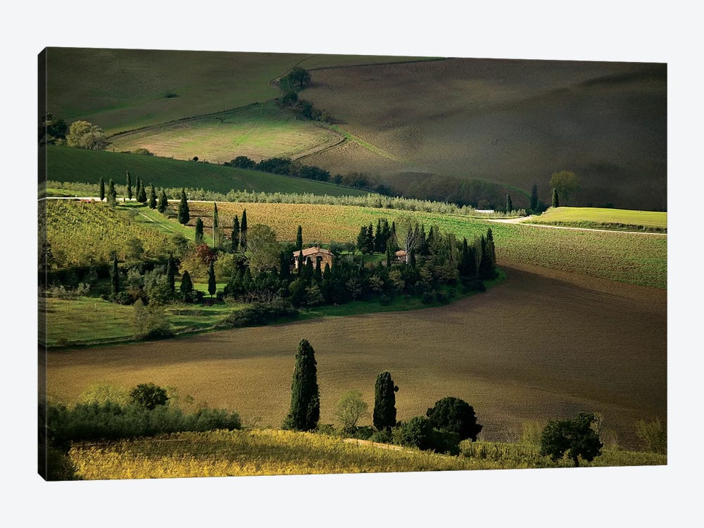 Farmland Around Montepulciano, Tuscany, Italy by David Barnes 1-piece Canvas Print