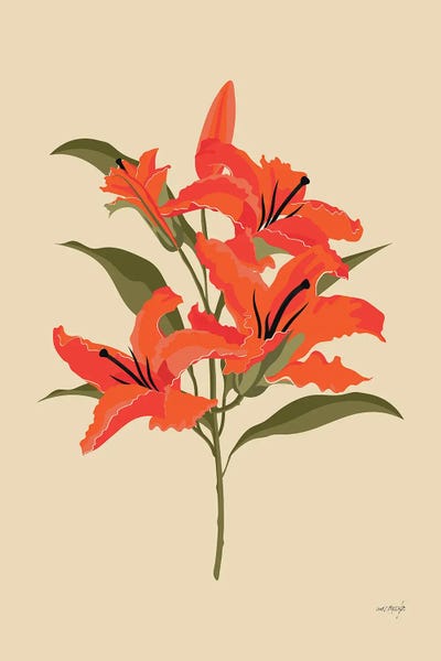 Lilies: Summer Lilies by Mezay Ugbo