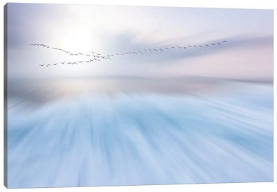 Fly Over Canvas Art Print