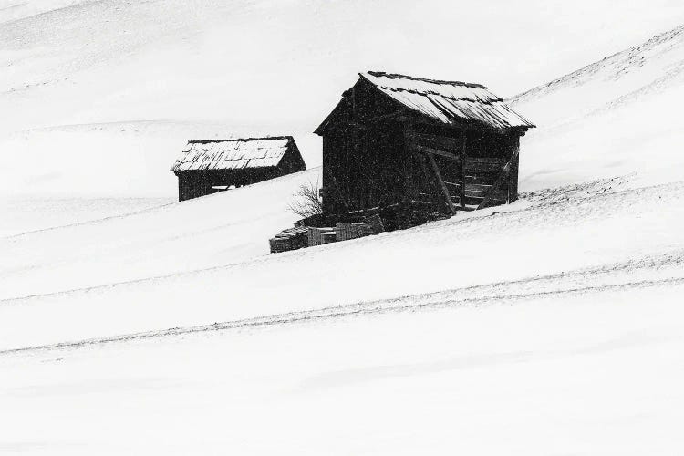 First Snow by Uschi Hermann wall art