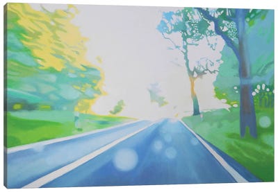 Drive Away Canvas Art Print - Point of View