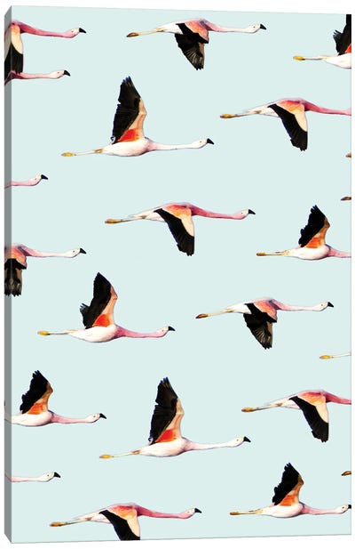 Migration Canvas Art Print - Animal Patterns