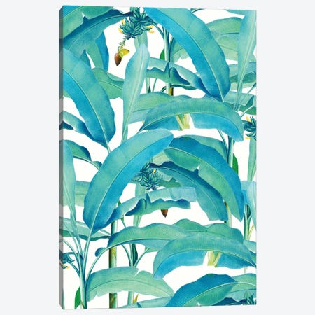 Banana Forest Canvas Print #UMA1020} by 83 Oranges Canvas Art Print