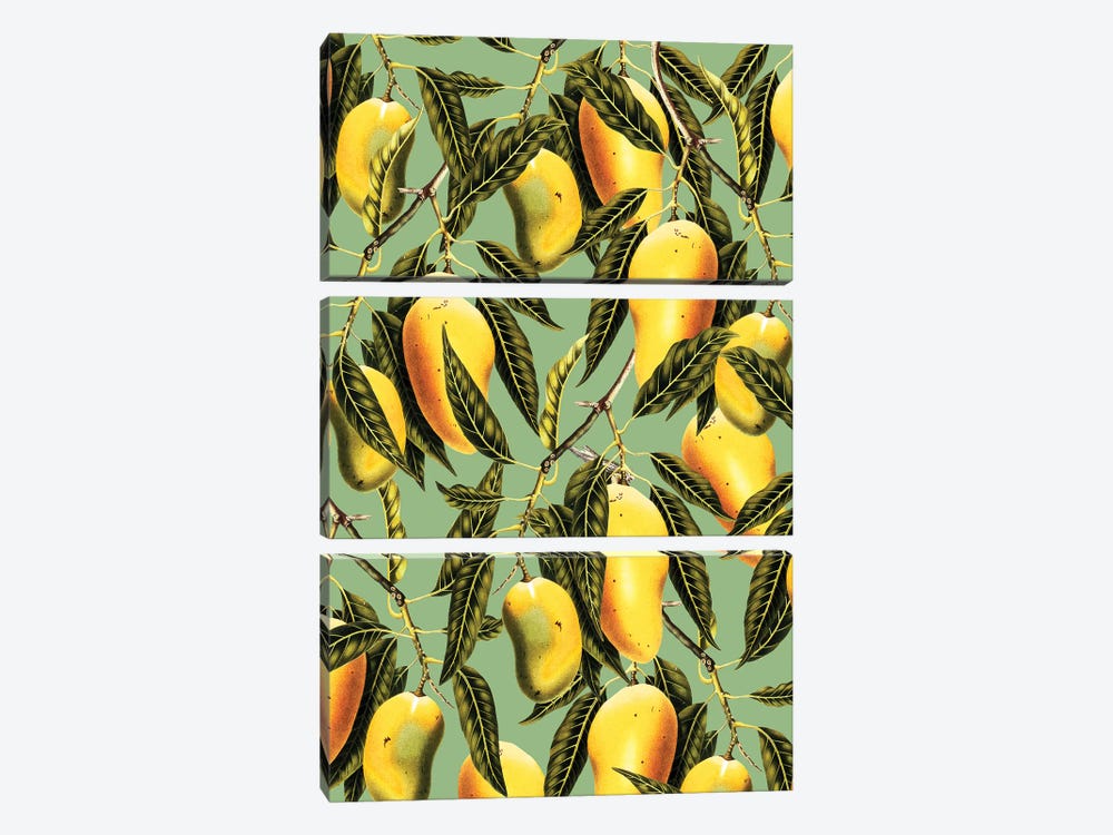 Mango Season by 83 Oranges 3-piece Canvas Wall Art
