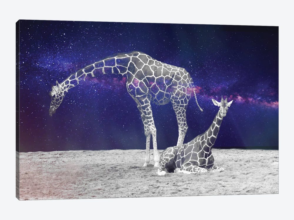 Giraffes On The Moon by 83 Oranges 1-piece Canvas Artwork