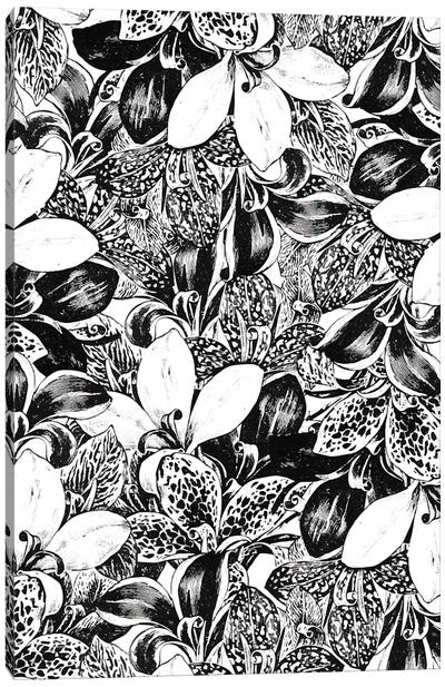 Monochrome Canvas Art Print - Black & White Patterns