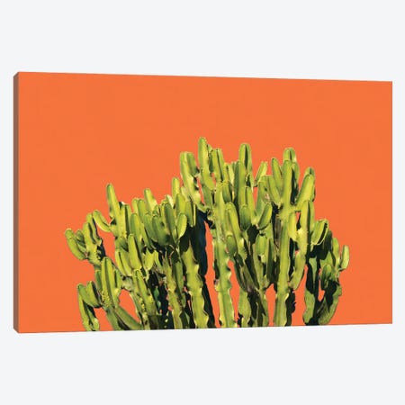 Bold Cactus Canvas Print #UMA1043} by 83 Oranges Art Print