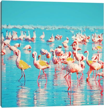 Flamboyance Canvas Art Print - Flamingo Art