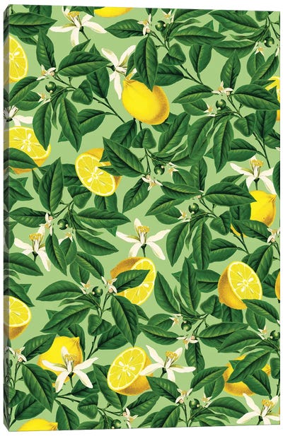Lemonade II Canvas Art Print - Lemon & Lime Art