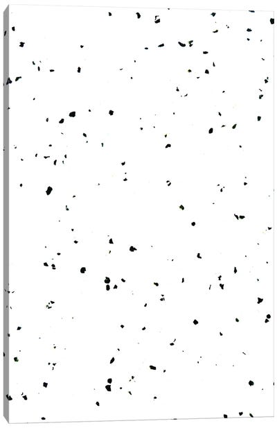 Choco Chip & Vanilla Canvas Art Print - Polka Dot Patterns