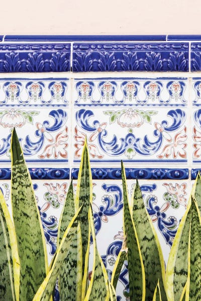 Moroccan Culture: Moroccan Botany by 83 Oranges