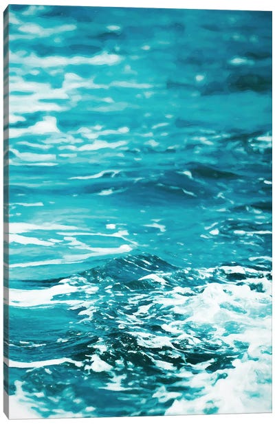 Oceanology Canvas Art Print - Water Art