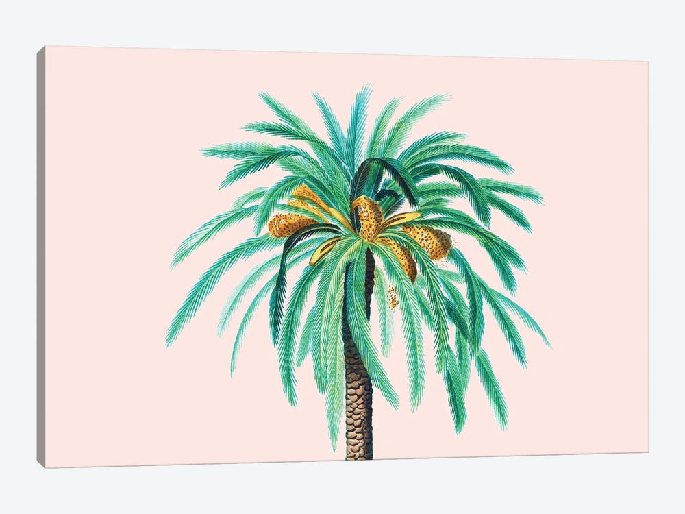 Coconut Island by 83 Oranges 1-piece Canvas Print