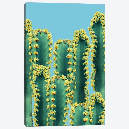 Adorned Cactus II Canvas Print #UMA1173} by 83 Oranges Canvas Print