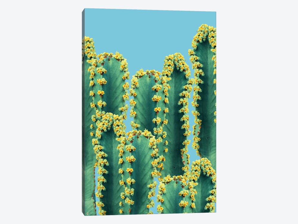 Adorned Cactus II by 83 Oranges 1-piece Art Print
