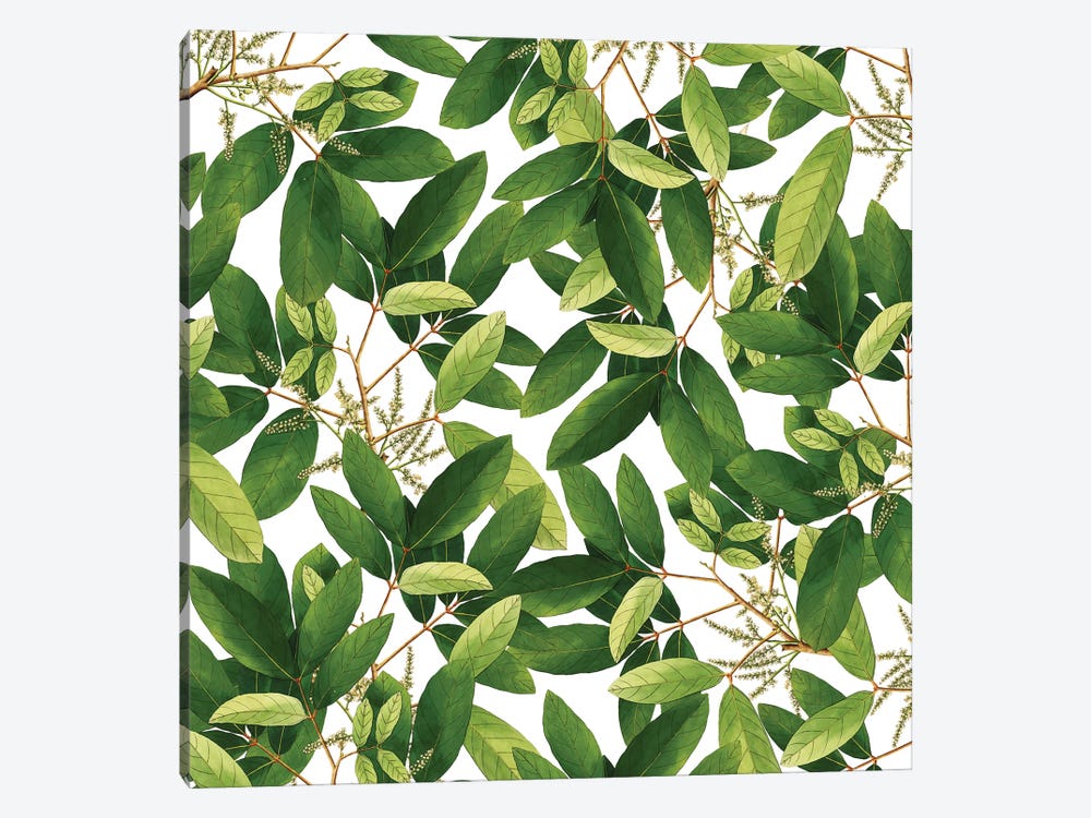 Greenery by 83 Oranges 1-piece Canvas Print