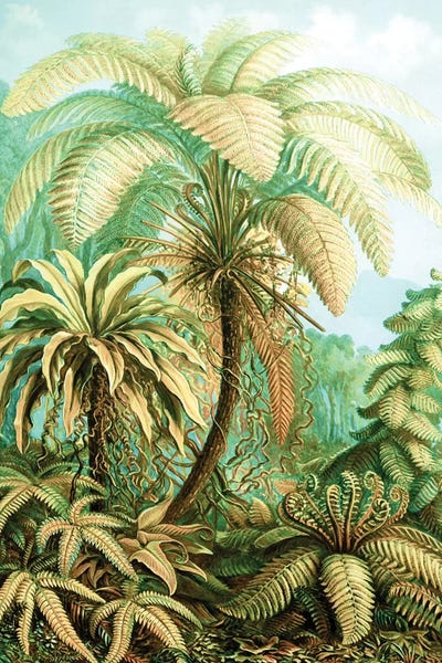 Vintage Tropical by 83 Oranges art print