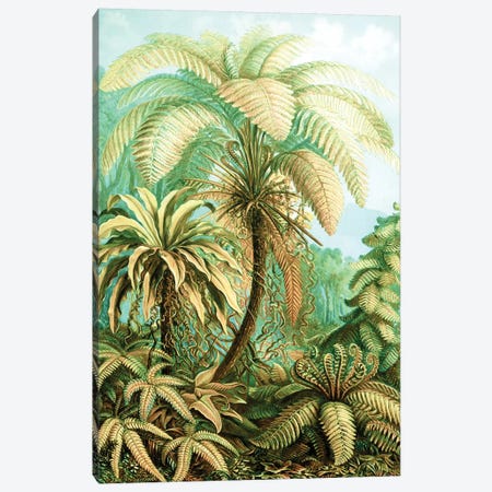 Vintage Tropical Canvas Print #UMA126} by 83 Oranges Art Print