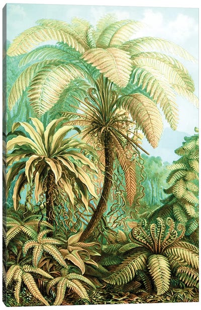 Vintage Tropical Canvas Art Print - Beach Vibes