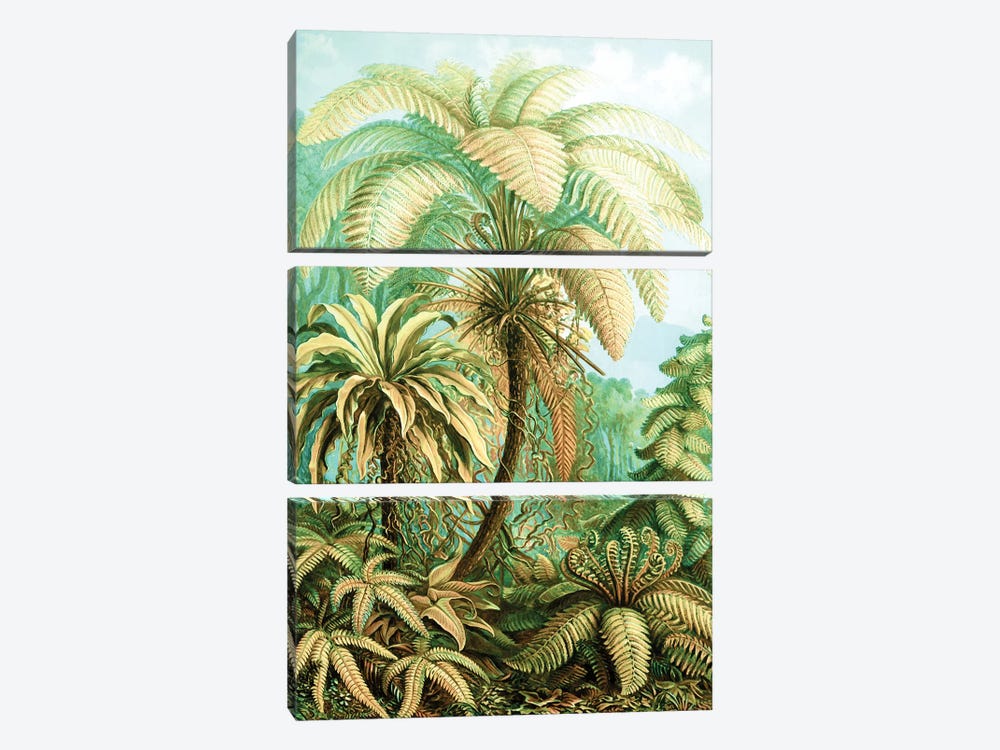 Vintage Tropical by 83 Oranges 3-piece Canvas Print