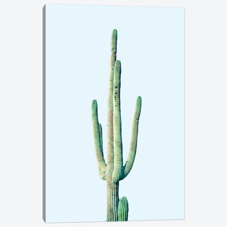 Loner Cactus Canvas Print #UMA1346} by 83 Oranges Canvas Print