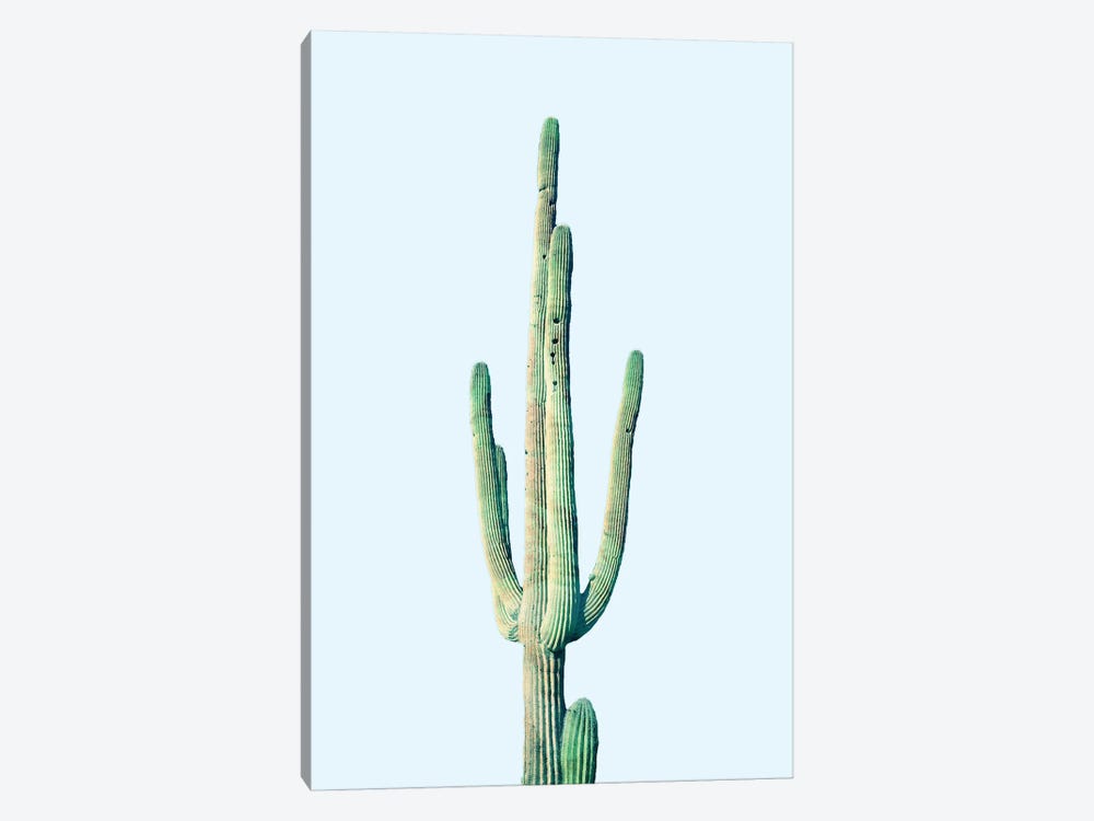 Loner Cactus by 83 Oranges 1-piece Canvas Art