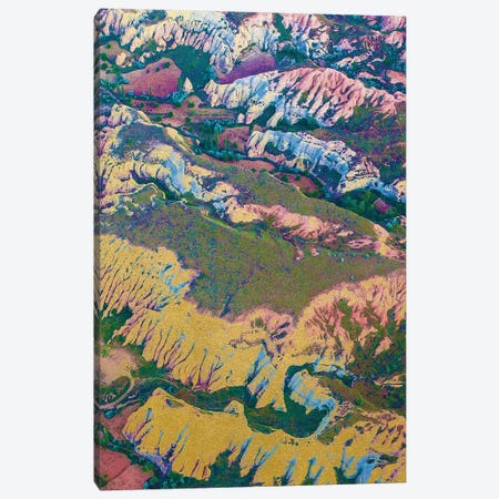 Golden Land Canvas Print #UMA1391} by 83 Oranges Canvas Art Print