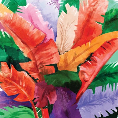 Banana Tree by 83 Oranges canvas print